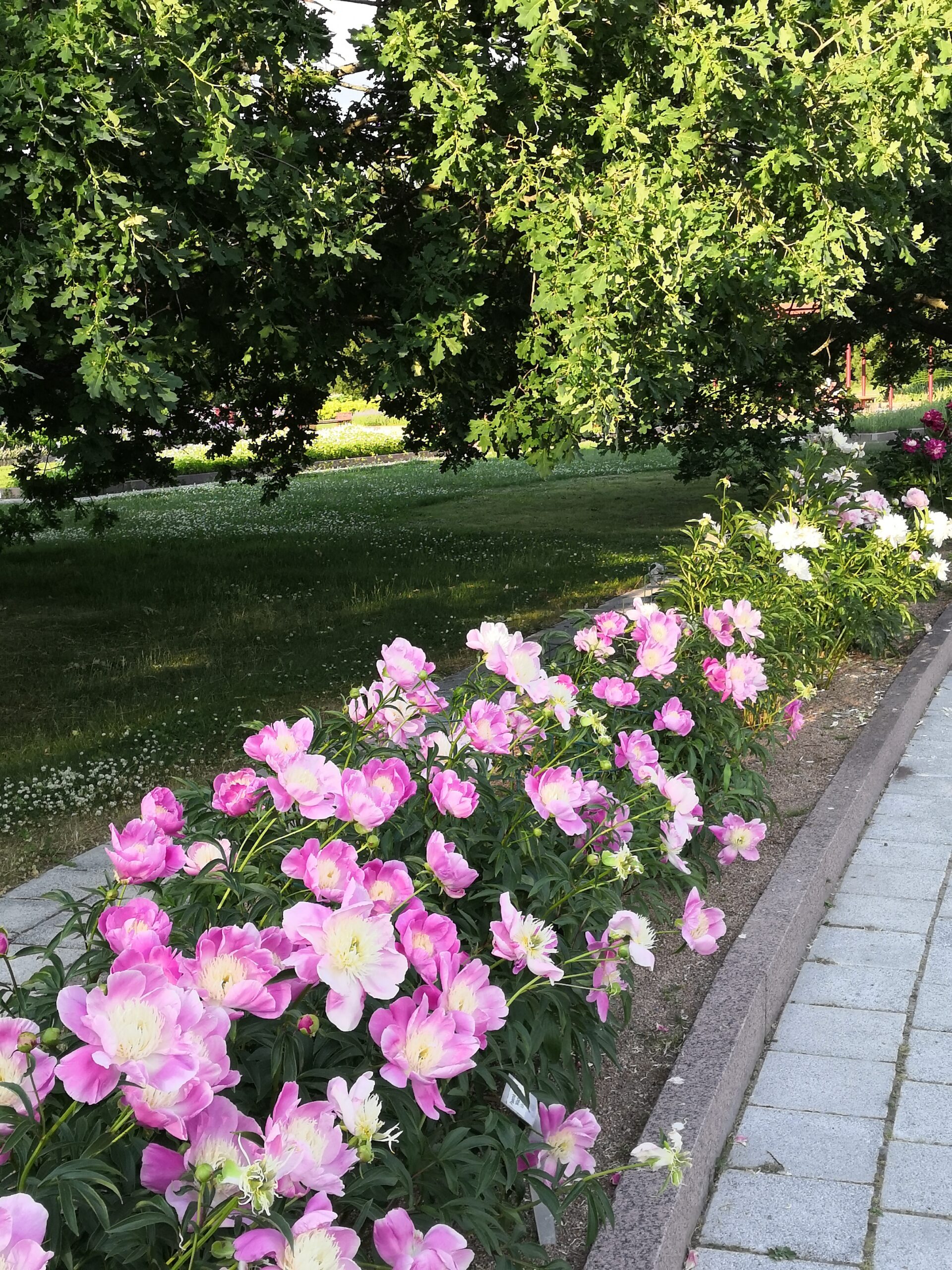 Jäsenilta Lavikossa ti 13.9.2022